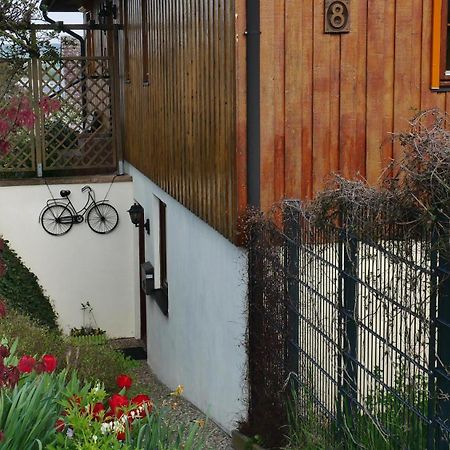 Ferienwohnung An Den Weingaerten Langenlonsheim Екстериор снимка