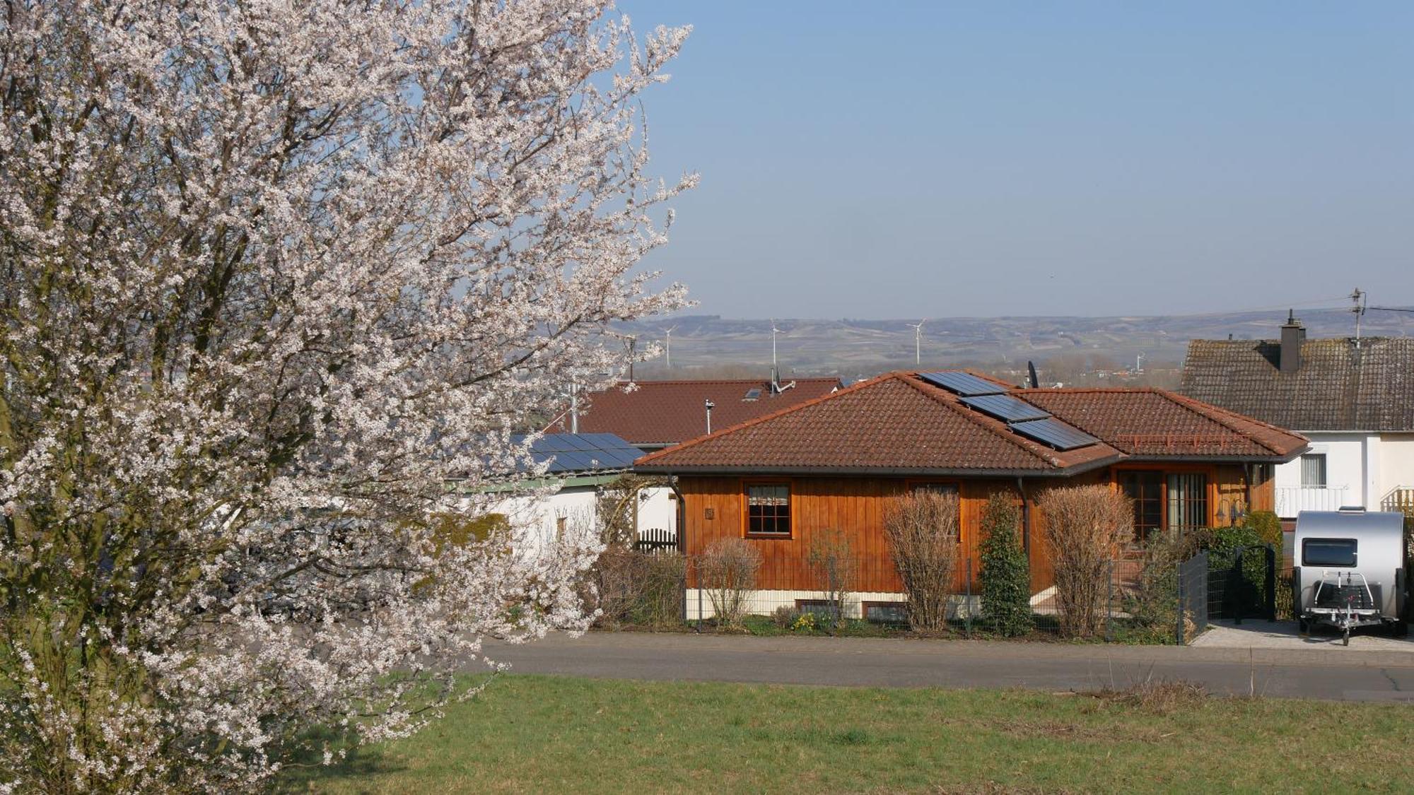 Ferienwohnung An Den Weingaerten Langenlonsheim Екстериор снимка